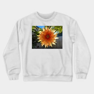 A Back-lit Orange Dahlia Crewneck Sweatshirt